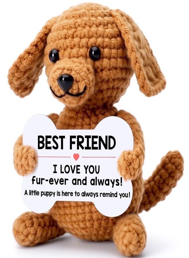 Wilbrea Funny Dog Best Friend Friendship Gifts for Women Men, BFF Bestie Bestfriend Gifts Ideas Birthday Christmas Ornaments Presents Stocking Stuffers, Small Cool Cute Stuff Things, I Love You Friends Puppy - Image 1